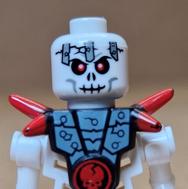 Lord Orwyn's Skeleton