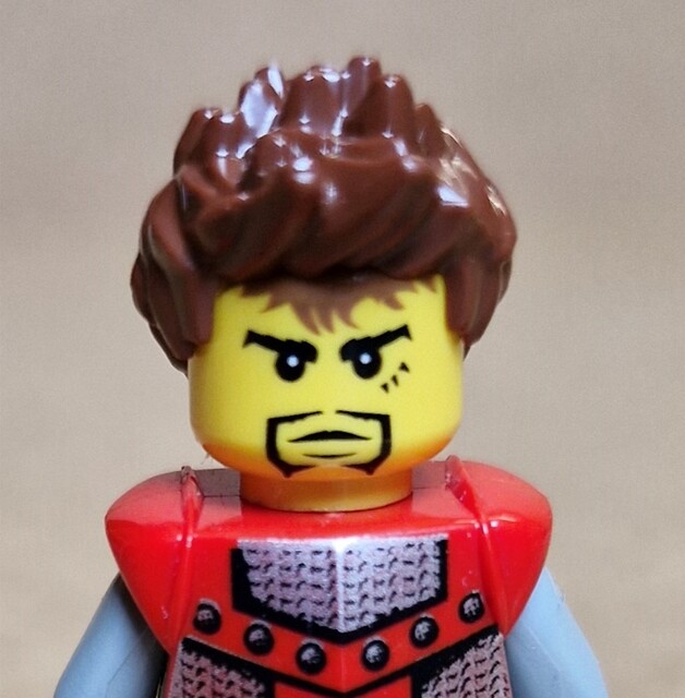 Sir Adric